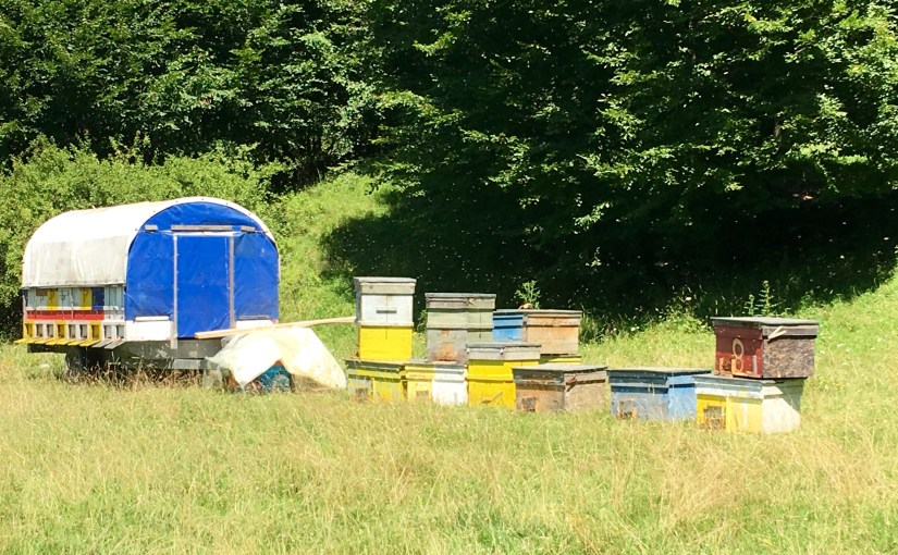 Romania – Of Gypsies and&nbsp;Beekeepers